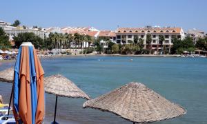 达特恰弗拉公寓酒店的两把遮阳伞坐在海边