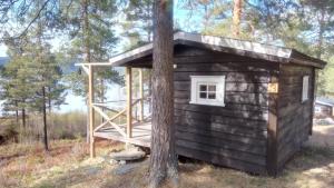 HauggrendTelemark Camping的树屋,树上有坡道