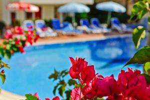 锡德Irem Garden Hotel & Apartments的游泳池前设有蓝色椅子和红色鲜花