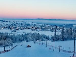 布科维纳-塔钱斯卡Bukowiańska Ostoja Balia i Jacuzzi w ofercie, obok wyciągów na Leśnej的雪中带小镇的滑雪场