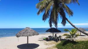 MahamboMAHAMBO BEACH hôtel的海滩上设有椅子和遮阳伞,还有大海