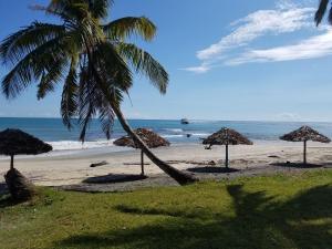 MahamboMAHAMBO BEACH hôtel的棕榈树和遮阳伞的海滩和海洋