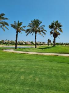 圣哈维耶尔Casa Verano in Roda Golf and Beach Resort Mar Menor的公园里的一棵棕榈树