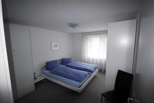 达沃斯拉瓦西22号公寓的白色客房内的一张带蓝色枕头的床