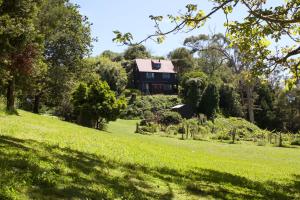 MaketuQuirky Woods - Glamping Cabins at Maketu的草场中间的房子