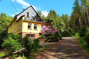 坦巴赫-迪塔尔茨Thüringer Waldbaude的一条路中间的黄色房子