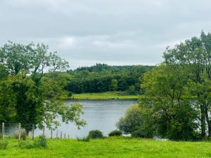 Droichead an BhuitléaraighDetached Private Studio Room with Bathroom的享有树木和草地的湖泊美景