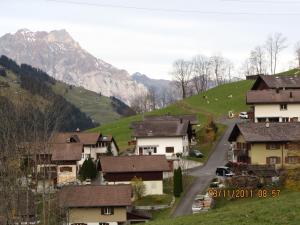Unterschächen乌腾斯查岑假日公寓酒店的山中拥有房屋和道路的村庄