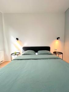 布鲁塞尔Cosy apartment in Brussels的一间卧室配有一张大蓝色的床和两个枕头