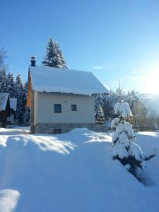 扎布利亚克Holiday Home Stevas的积雪覆盖的房屋