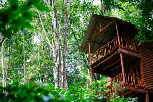 埃拉艾拉生态山间小屋的森林中的一个树屋