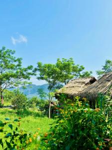 Pu LuongPu Luong Jungle Lodge的田野上茅草屋顶的老房子