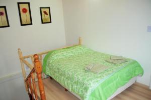 乌斯怀亚万物原则公寓的一间卧室配有一张带绿色棉被的床