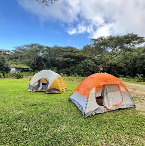 TanganggeMAUI CREEK BURE'S Tiny home by the creek!的两个帐篷,坐在草地上