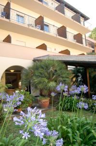 蒙特罗索阿尔马雷阿德利亚纳别墅酒店的紫色花卉建筑前的花园