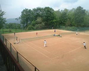 郡上市Mizubaso的一群人在网球场打网球