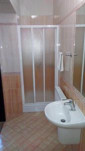 泰雷津泰雷津公园酒店的带淋浴和白色盥洗盆的浴室
