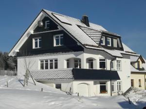 温特贝格Ferienwohnung Hartmann的雪中黑白的房子