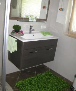 阿尔卑巴赫Apartment Galtenberg的一间带水槽和绿色地毯的浴室