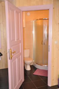 奥斯特罗沃Lawendowa Wyspa Klub Nadmorski的一间带卫生间和淋浴的浴室