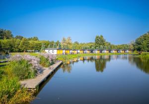 达尔沃沃Domki drewniane na Spławiu nad morzem的享有湖泊美景,设有房屋