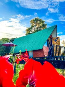 莱瓦镇Glamping Chalet Deluxe cerca al centro de Villa de Leyva - By Serena Morena的一座带绿色屋顶和红色鲜花的房子