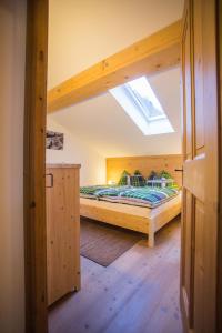 AußervillgratenFerienwohnung Walder的一间卧室配有一张双层床和天窗