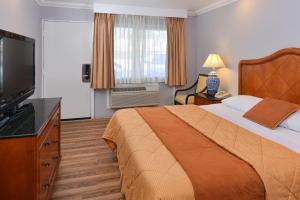 奥克兰汉兰达汽车旅馆的酒店客房设有一张大床和一台电视。