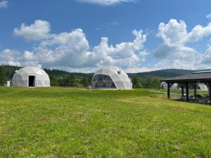 OkrzeszynTatra Glamp Okrzeszyn - Siec noclegowa Tatra Glamp的两个圆顶,在绿地