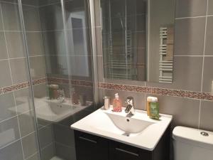 安锡阿讷西都市风情一室公寓的一间带水槽、卫生间和镜子的浴室