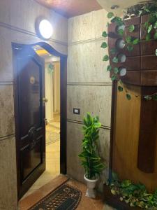 亚历山大Nice room with AC & Private balcony in Alexandria的走廊上有一扇门和一棵植物