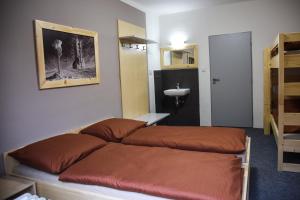 卢捷拿纳德德斯努Penzion Kouty的一间卧室配有一张床和一个水槽