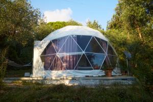 伊特里Glamping Domes San Martino的圆顶房子,在田野上设有窗户