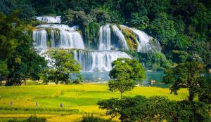 高平Cao Bang Loop Tour Office & Hostel - Car - Motorbike Rental - Easy Rider的林地中央的瀑布