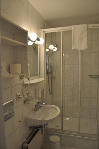 黑林山区圣格奥尔根卡默勒酒店的一间带水槽和淋浴的浴室