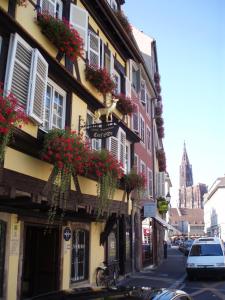 斯特拉斯堡奥瑟夫多尔餐厅酒店的街道边有鲜花的建筑