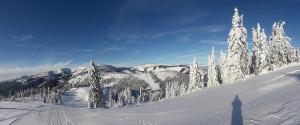 维许纳波察Domček Horskej Služby的雪覆盖的山,雪覆盖的树木