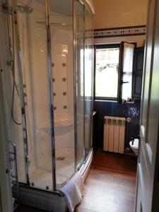 比利亚维西奥萨El Oteru I的带淋浴的浴室和玻璃门