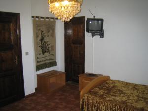 阿巴纳西阿伴纳斯酒店的一间卧室配有一张床、一台电视和吊灯。