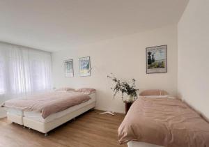 苏黎世Urban Oasis - 2BR Apartment near Bahnhof Zürich Oerlikon -302-的一间白色卧室,配有两张床和窗户