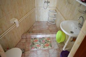巴尔Apartment Zeleny Pojas的一间带水槽和卫生间的小浴室