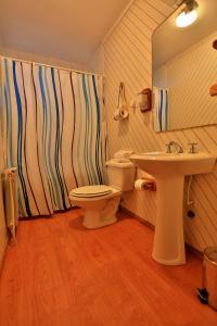 艾森港Y卡瓦尼亚斯巴塔哥尼亚绿色酒店的一间带卫生间和水槽的浴室
