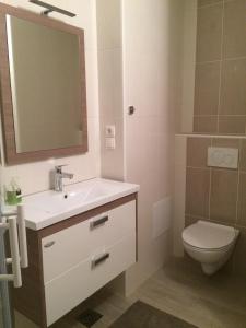 克拉尼斯卡戈拉Apartment Franc的一间带水槽、卫生间和镜子的浴室