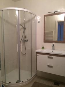 克拉尼斯卡戈拉Apartment Franc的一间带玻璃淋浴和水槽的浴室