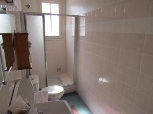 纳维斯乌斯塔尔酒店的浴室配有卫生间、盥洗盆和淋浴。