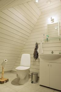 TorguRootsimaa Holiday House的一间带卫生间和水槽的浴室