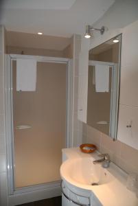 弗勒吕斯提勒尔斯旅馆的一间带水槽和淋浴的浴室