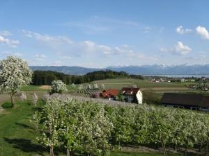 瓦瑟堡Landhaus Erben的种植了苹果树和谷仓的农场