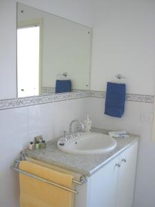 潘尼萧袋鼠岛林赛旅馆的一间带水槽和镜子的浴室