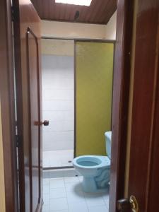 阿西斯港Hostal SAN JOSE PLAZA - TAYRONA 1的一间带卫生间和绿色墙壁的浴室